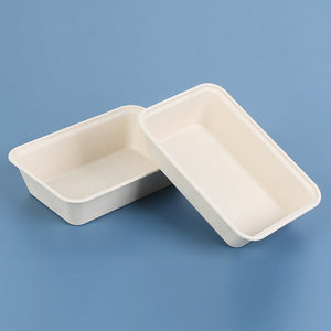 500ML SQUARE LUNCH BOX